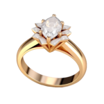 transparent-rose-650ead2d1674d9.319355031695460653092
